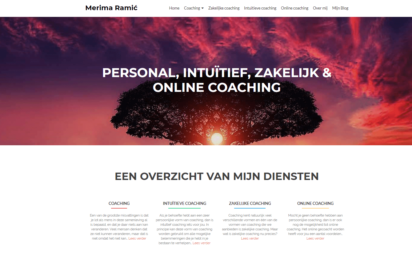 Merima Ramic by eConcepts Europe